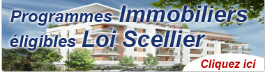 loi scellier.png loi scellier.png